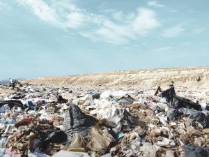 Bags of waste on a beach