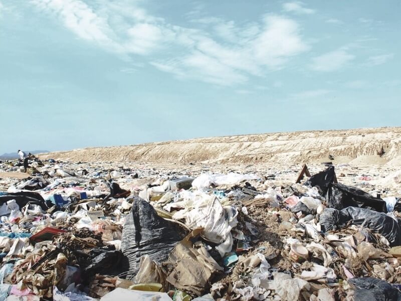 Bags of waste on a beach